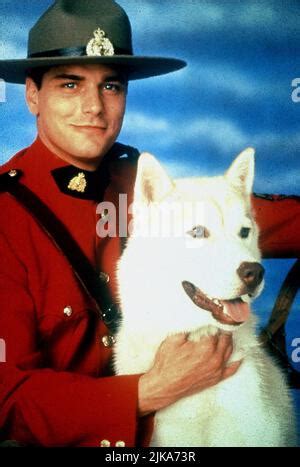 正南方|正南方 Due South (1995)